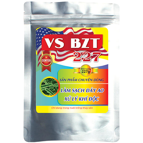 VS BZT 227